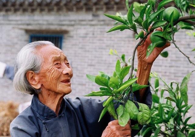 長壽的人有哪些特點？年紀(jì)大了如何養(yǎng)生？