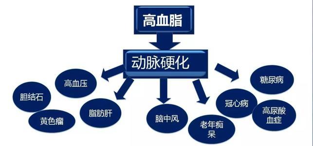 高血脂一般會(huì)產(chǎn)生什么樣的危害呢？高血脂有什么危害？